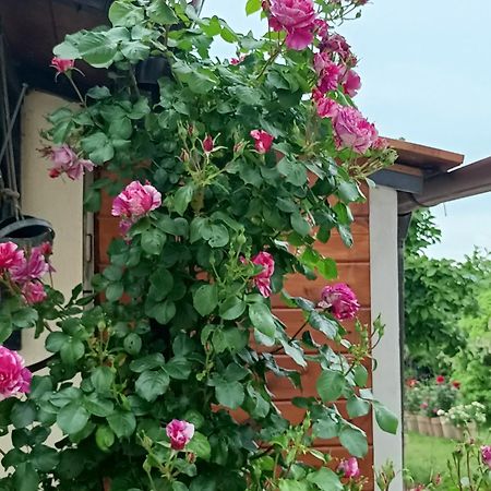 Colle Perazzoni Appartement Fiano Romano Buitenkant foto