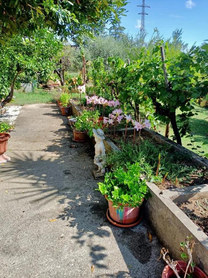 Colle Perazzoni Appartement Fiano Romano Buitenkant foto