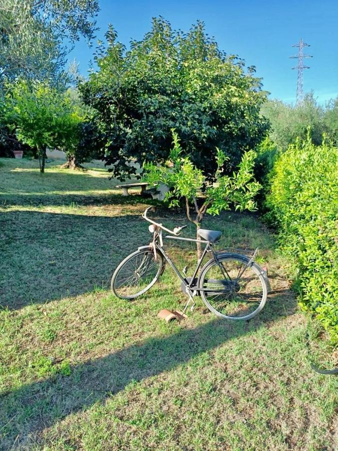 Colle Perazzoni Appartement Fiano Romano Buitenkant foto