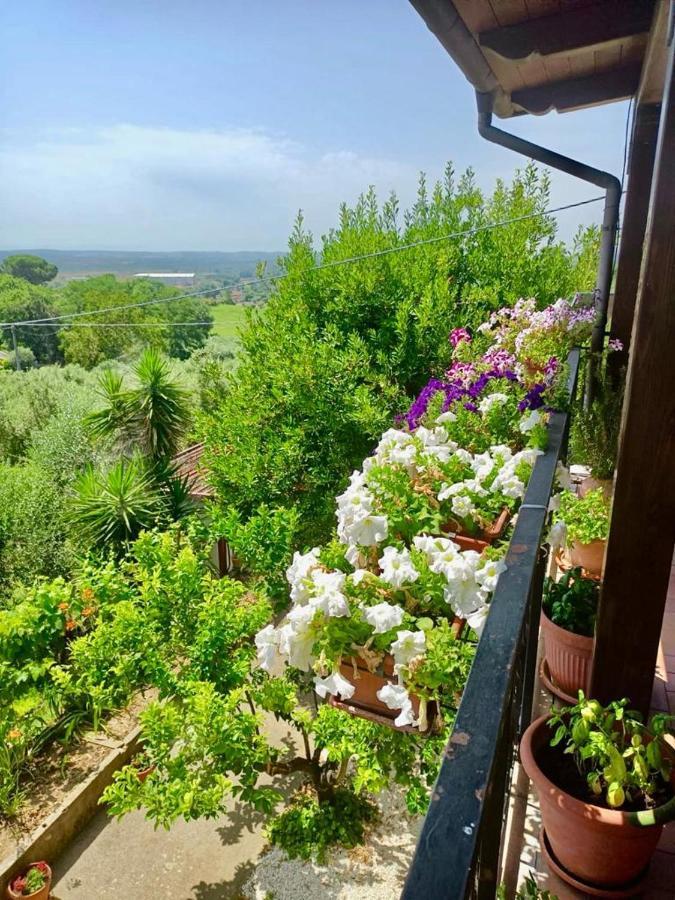 Colle Perazzoni Appartement Fiano Romano Buitenkant foto