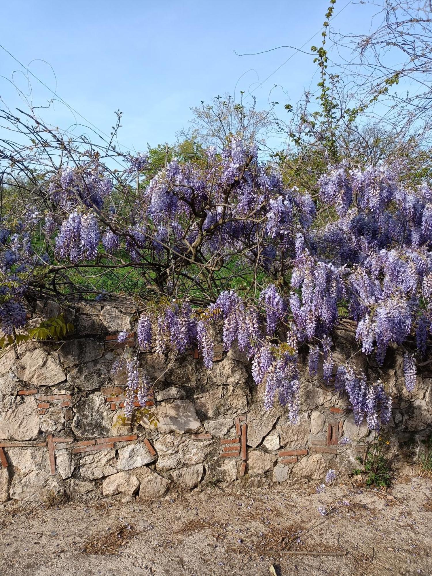 Colle Perazzoni Appartement Fiano Romano Buitenkant foto