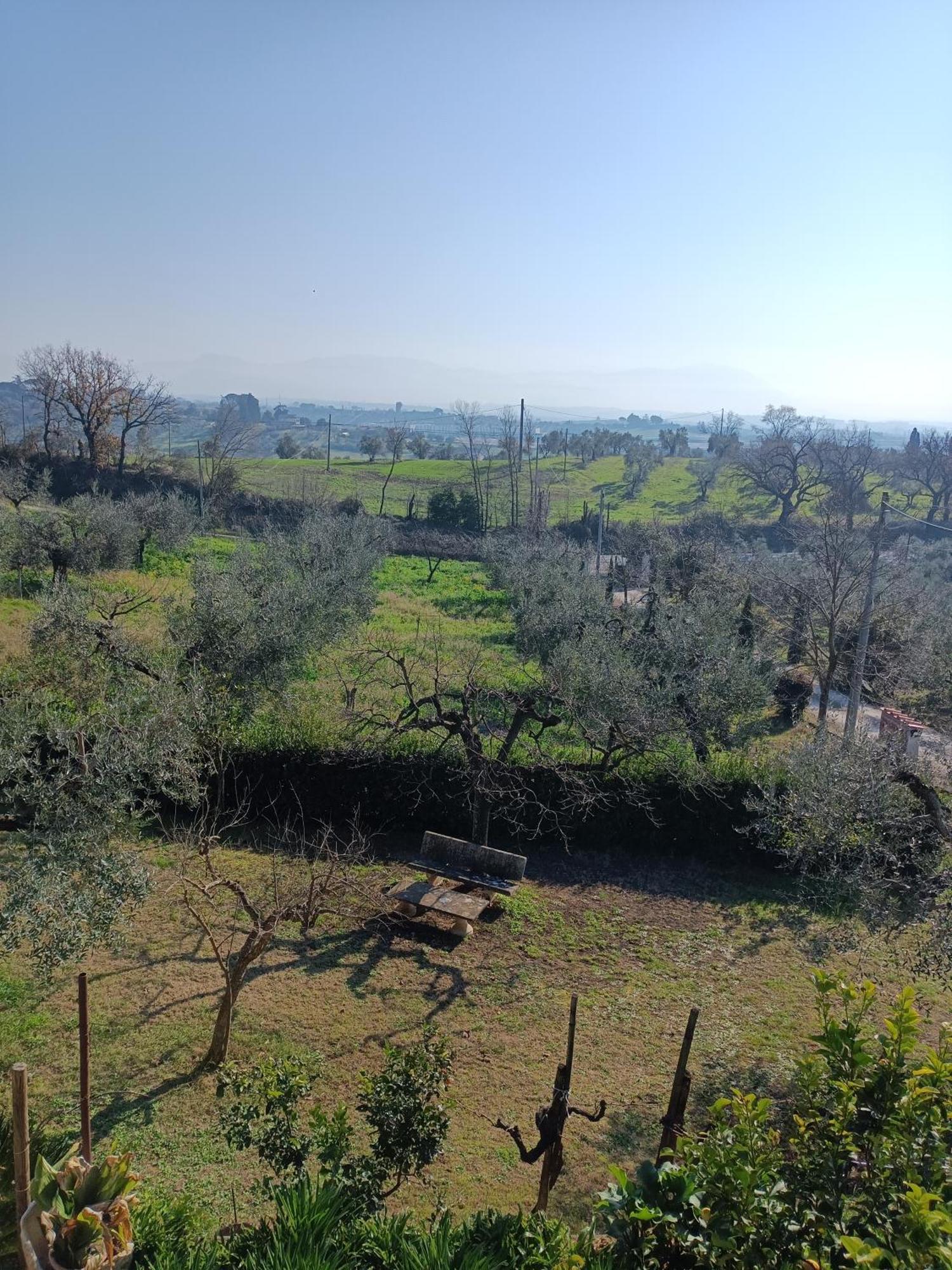 Colle Perazzoni Appartement Fiano Romano Buitenkant foto