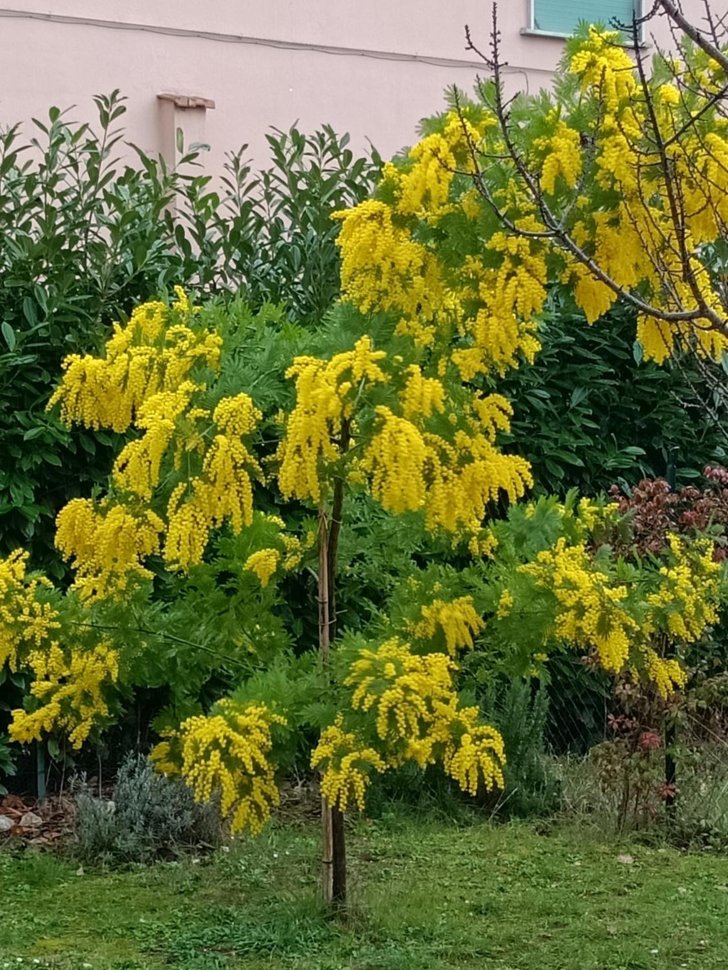 Colle Perazzoni Appartement Fiano Romano Buitenkant foto