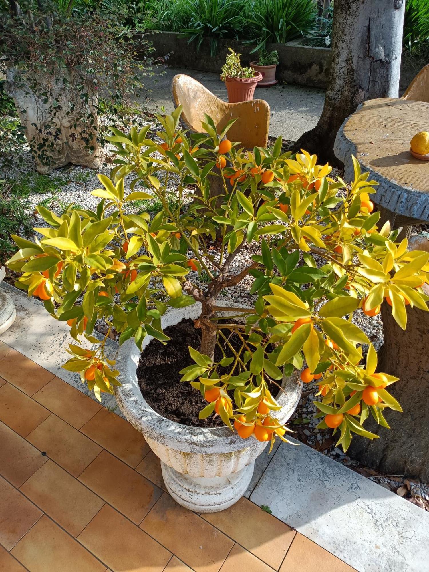 Colle Perazzoni Appartement Fiano Romano Buitenkant foto