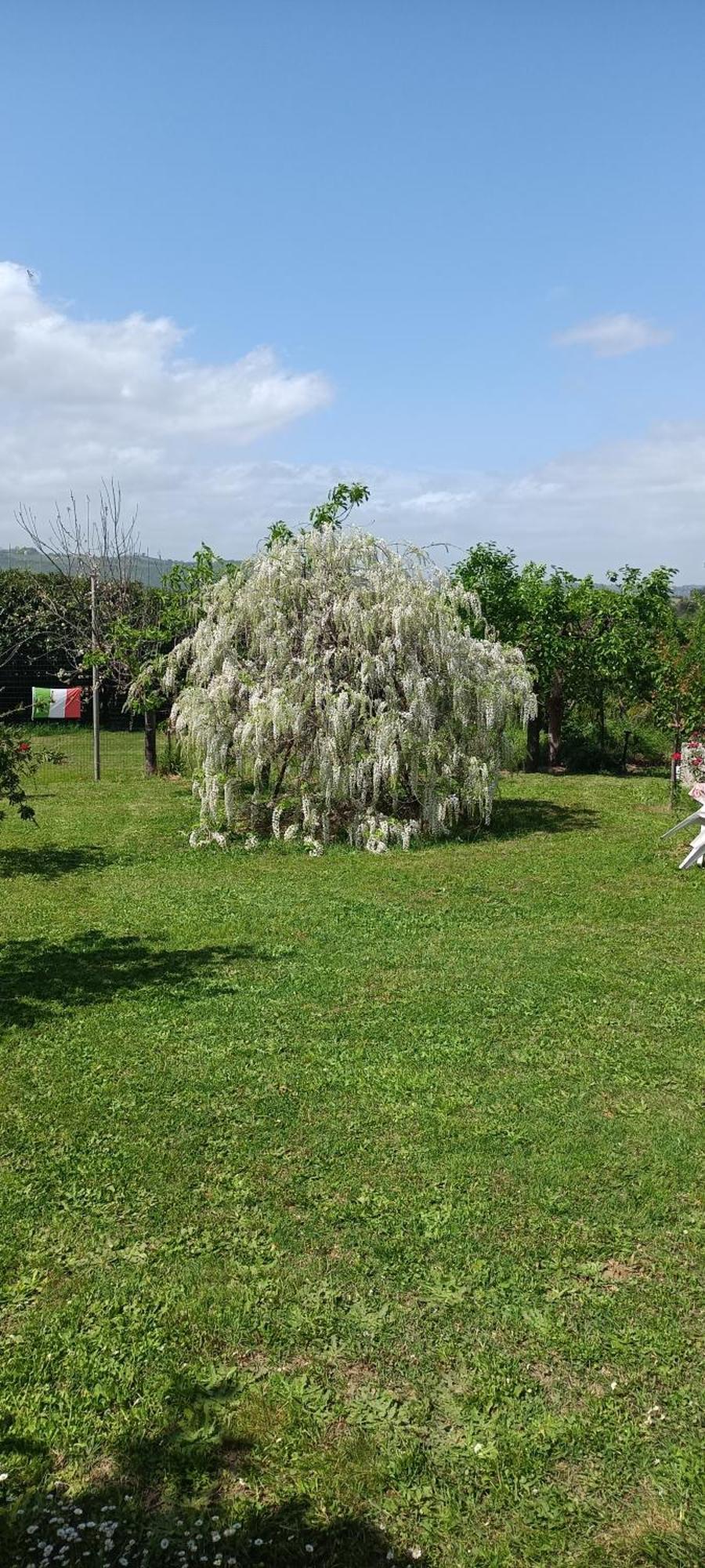 Colle Perazzoni Appartement Fiano Romano Buitenkant foto