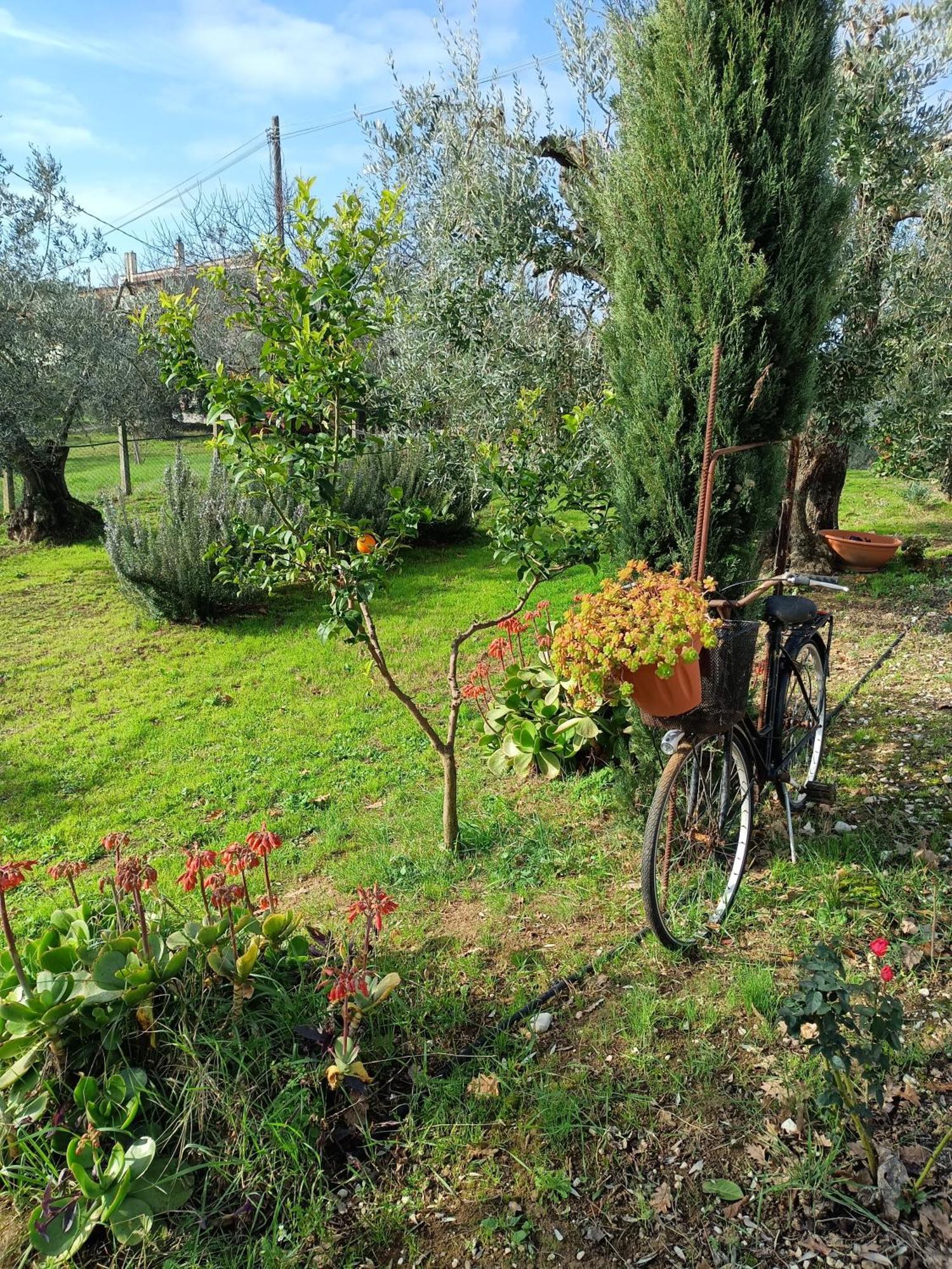 Colle Perazzoni Appartement Fiano Romano Kamer foto