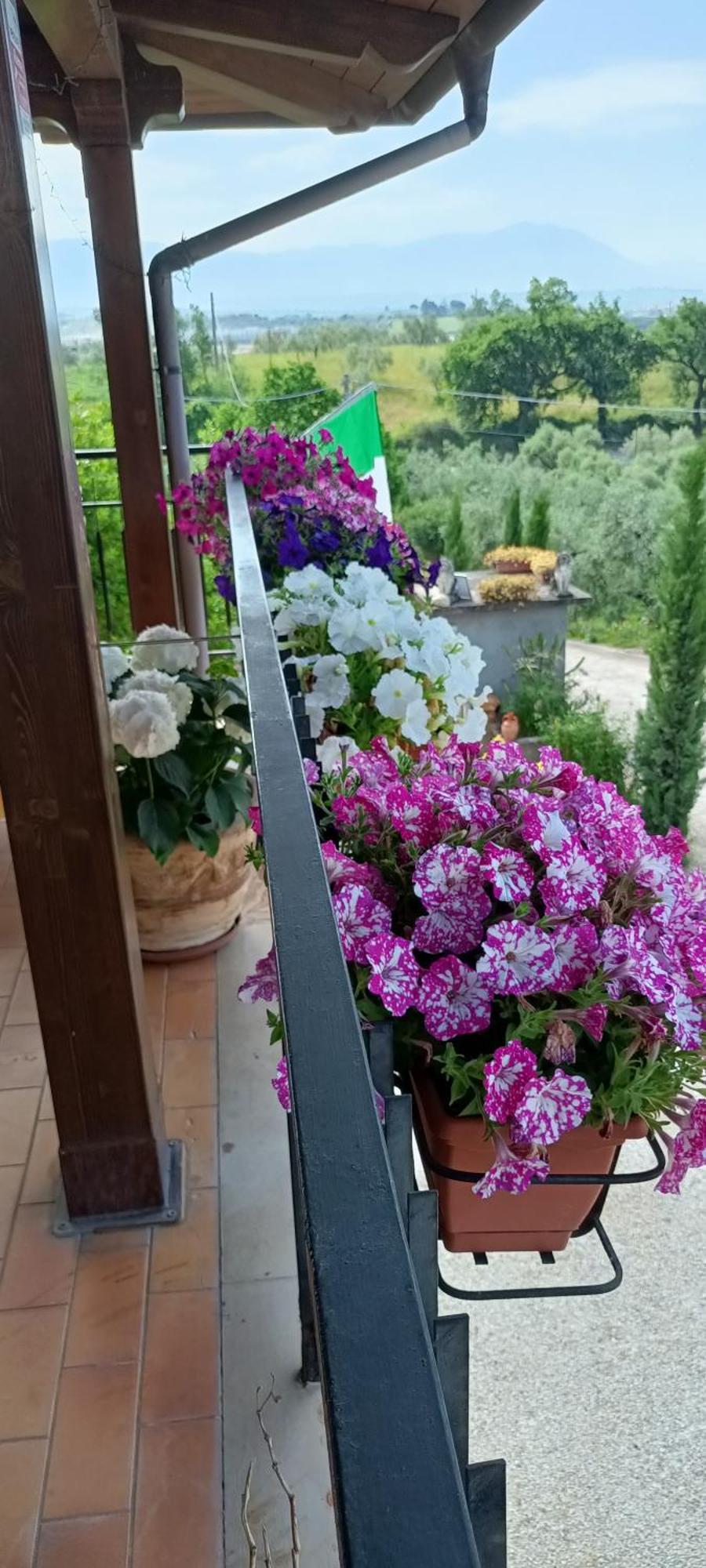 Colle Perazzoni Appartement Fiano Romano Buitenkant foto