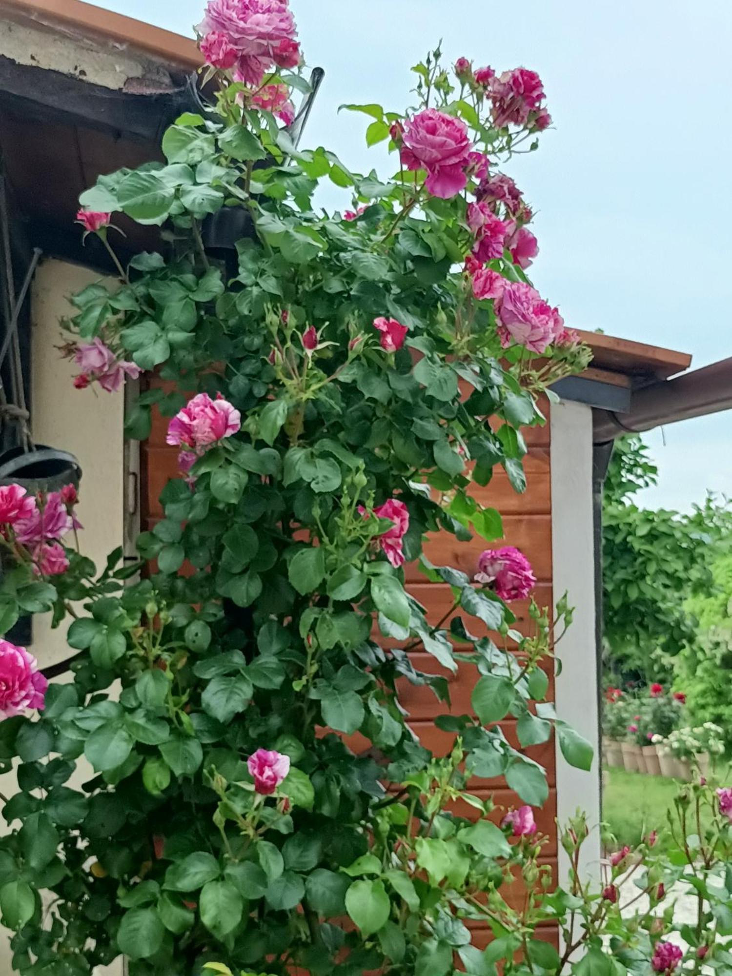 Colle Perazzoni Appartement Fiano Romano Buitenkant foto